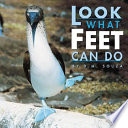 Look What Feet Can Do cover