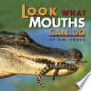 Look What Mouths Can Do cover