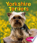 Yorkshire Terriers cover