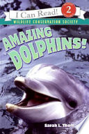 Amazing Dolphins! cover