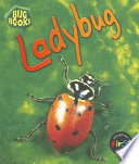 Ladybug (2nd Edition) cover