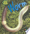 Worm (2nd Edition) cover