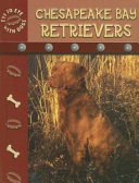 Chesapeake Bay Retrievers cover
