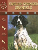 English Springer Spaniels cover