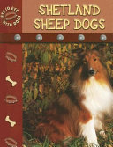 Shetland Sheepdogs cover