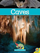 Caves (Biomes) cover