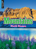 Mountains (Biomes) cover