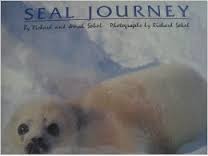 Seal Journey cover
