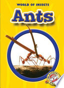 Ants cover