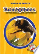 Bumblebees cover