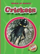Crickets cover