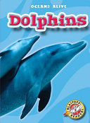 Dolphins cover