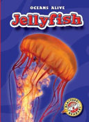 Jellyfish cover
