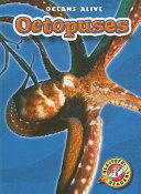 Octopuses cover