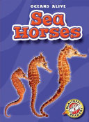 Sea Horses cover