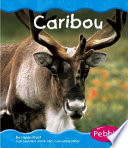 Caribou cover