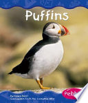 Puffins cover