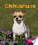 Chihuahuas cover