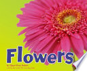 Flowers cover
