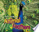 Let's Look at Animal Feathers cover