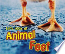 Let's Look at Animal Feet cover