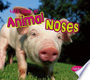 Let's Look at Animal Noses cover
