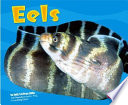 Eels cover