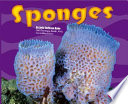 Sponges cover