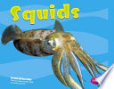 Squids cover