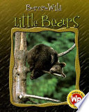 Little Bears cover
