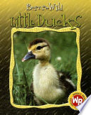 Little Ducks cover