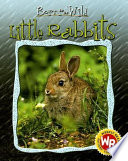 Little Rabbits cover