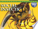 Social Insects cover