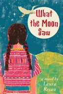 What the Moon Saw cover
