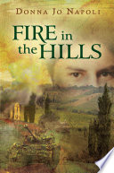 Fire In The Hills cover