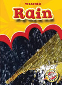 Rain cover