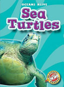 Sea Turtles cover