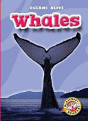 Whales cover