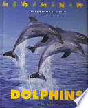 Dolphins cover
