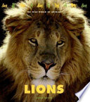 Lions cover
