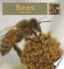 Bees cover