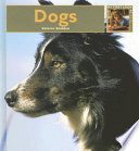 Dogs cover