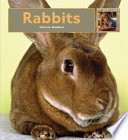 Rabbits cover
