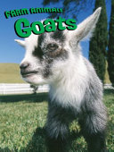 Goats cover