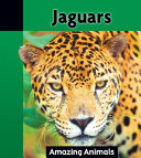 Jaguars cover