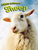 Sheep cover