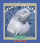 Beluga Whales cover