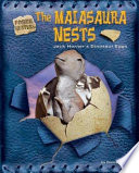 The Maiasaura Nests: Jack Horner's Dinosaur Eggs cover