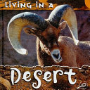 Living in a Desert cover