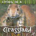 Living in a Grassland cover